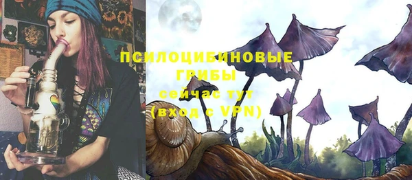 стаф Лагань
