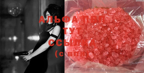 индика Лабытнанги