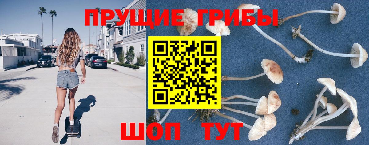 Галлюциногенные грибы мицелий  Вход с VPN  Тихвин 
