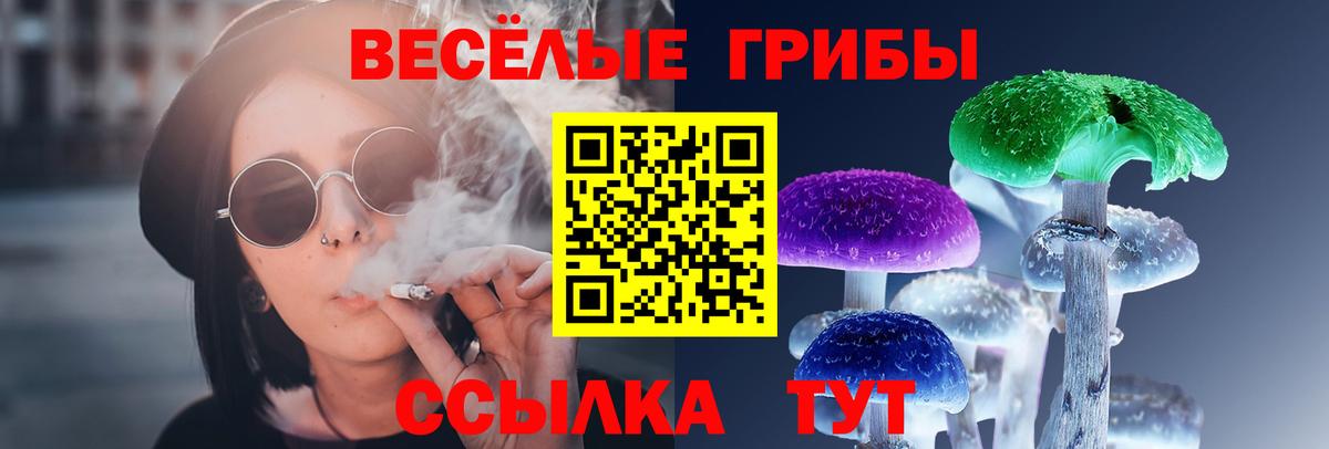 Галлюциногенные грибы Psilocybine cubensis Тихвин